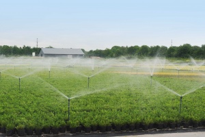 sproeiers bloemenkampen geoptimaliseerde